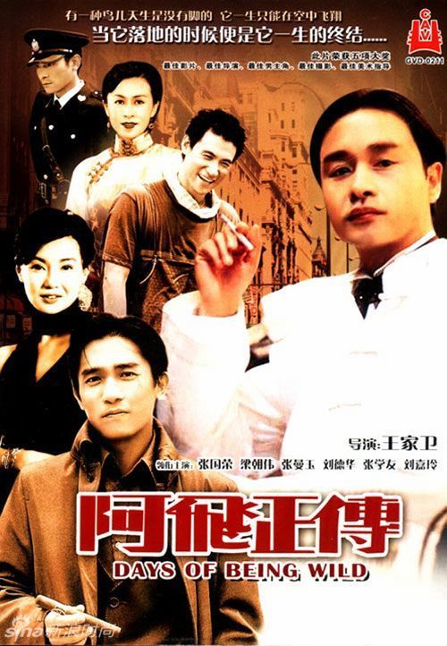 学信网上学位认证报告在哪里